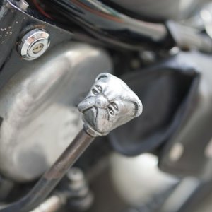 画像8: THE FEVER INC | JACKIE SHIFT KNOB 