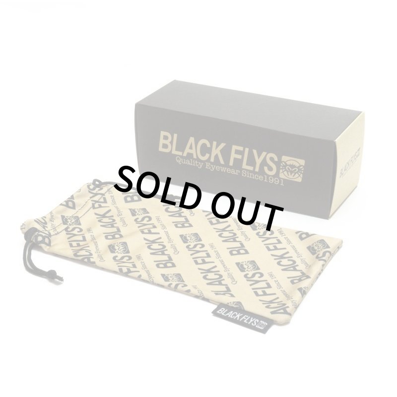 画像4: BLACK FLYS | AQUA FLY POLARIZED（偏光レンズ） (4)