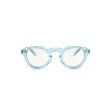 画像2: EVILACT eyewear (イーヴルアクト アイウェア) | “ROYAL” カラー調光  (2)