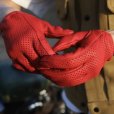 画像6: Lamp gloves (ランプグローブス) | -Punching glove- 