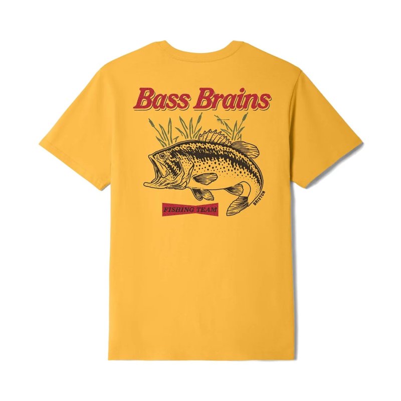 画像1: BRIXTON (ブリクストン) | BASS BRAINS FT S/S STT  (1)