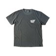 画像2: DAZZLESUGAR (ダズルシュガー) | DZLSGR×WLRS S/S tee 