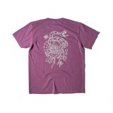 DAZZLESUGAR (ダズルシュガー) | DZLSGR×WLRS S/S tee 