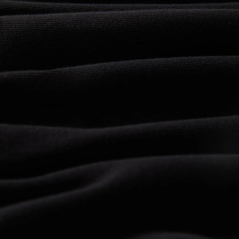 画像5: BRIXTON (ブリクストン) | ROSA HW S/S STT  (5)