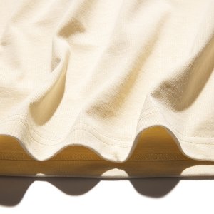 画像9: ROARK REVIVAL (ロアーク リバイバル) | "G&G" FINE TECH DRY TEE 