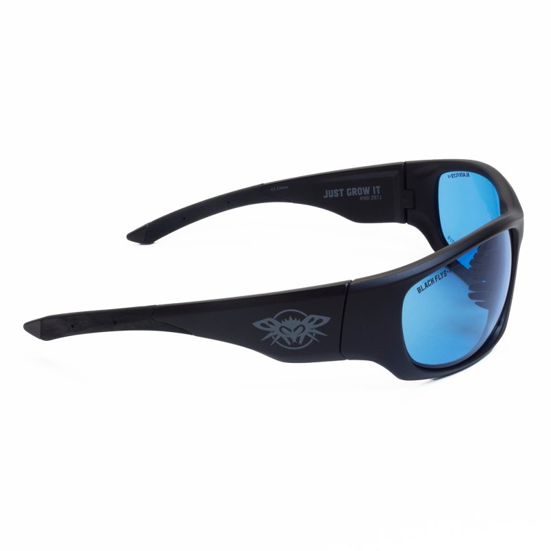 画像2: BLACK FLYS (ブラックフライ) | FLY DEFENSE  (2)