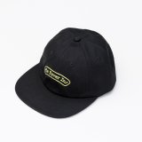 THE FEVER INC | THE FEVER INC CAP 