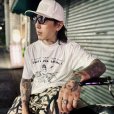 画像9: DAZZLESUGAR (ダズルシュガー) | DMC S/S tee 