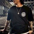 画像7: DAZZLESUGAR (ダズルシュガー) | Circle Logo S/S tee 