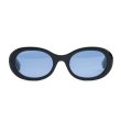 画像1: FLUTTER (フラッター) | Acetate Narrow Oval Glasses  (1)
