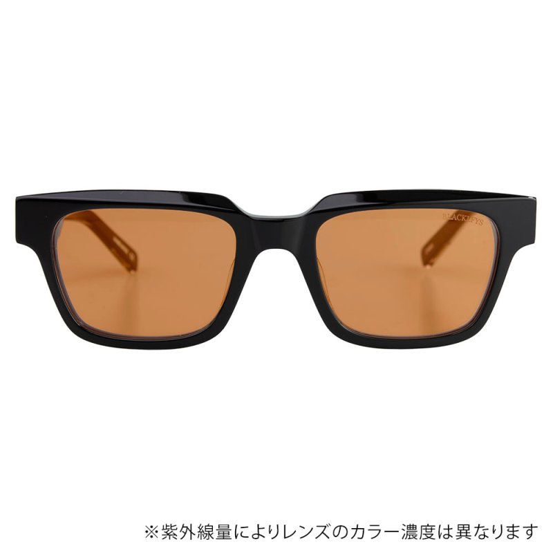 画像3: BLACK FLYS (ブラックフライ) | FLY COLT（調光レンズ） (3)