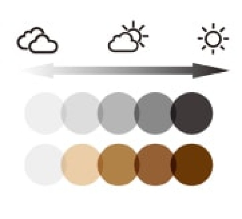 画像1: BLACK FLYS (ブラックフライ) | FLY COLT（調光レンズ）