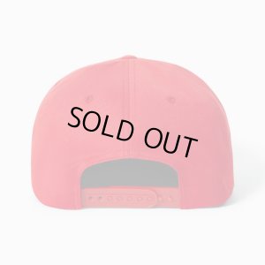 画像2: BRIXTON (ブリクストン) | TRADESMAN MP SNPK 