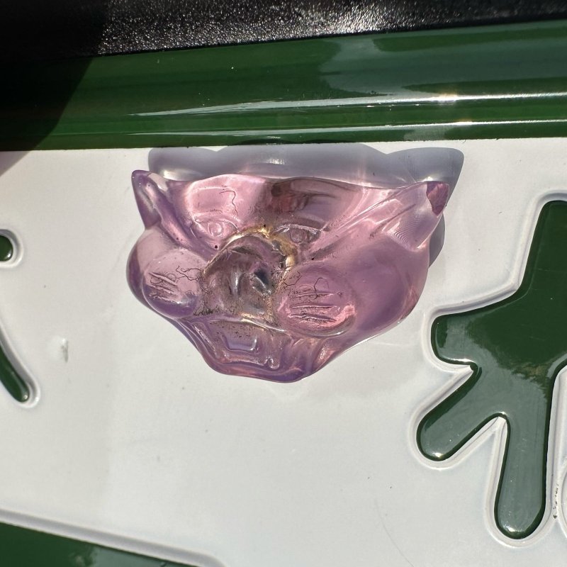 画像7: ENJOY MOTORS (エンジョイモータース) | 猫のライセンスボルト  (7)