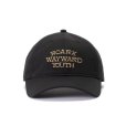 画像1: ROARK REVIVAL (ロアーク リバイバル) | RESISTANT TWILL 6PANEL CAP - MID  (1)