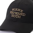 画像4: ROARK REVIVAL (ロアーク リバイバル) | RESISTANT TWILL 6PANEL CAP - MID  (4)