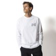 画像7: ROARK (ロアーク) | "NURTURE NATURE" L/S TEE  (7)