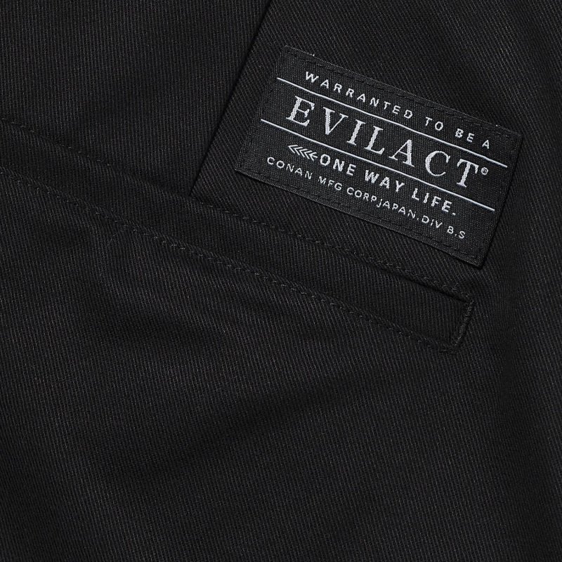 画像5: EVILACT (イーヴルアクト) | WIDE CHINOS PT  (5)