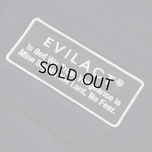 画像4: EVILACT (イーヴルアクト) | 2LAYER PD VEST 