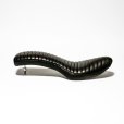 画像2: HATES SEAT CO. | TUCK ROLL COBRA SEAT side to side  (2)