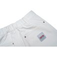 画像9: FLUTTER (フラッター) | Cotton Duck Painter Pants  (9)