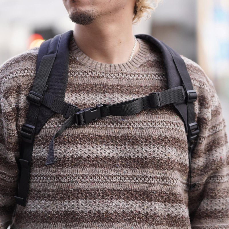画像2: BLUCO (ブルコ) | BURIC NYLON DAY BAG  (2)