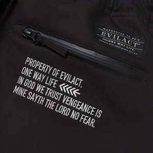 画像4: EVILACT (イーヴルアクト) | LEVEL-7 PT 