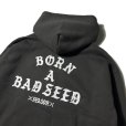 画像5: DAZZLESUGAR (ダズルシュガー) | -B.A.B Zip Hoodie-  (5)