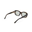 画像4: EVILACT eyewear (イーヴルアクト アイウェア) | “GREYHOUND” カラー調光  (4)