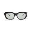 画像2: EVILACT eyewear (イーヴルアクト アイウェア) | “GREYHOUND” カラー調光  (2)