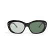 画像1: EVILACT eyewear (イーヴルアクト アイウェア) | “GREYHOUND” カラー調光  (1)
