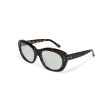 画像3: EVILACT eyewear (イーヴルアクト アイウェア) | “GREYHOUND” カラー調光  (3)