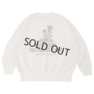 画像1: FLUTTER (フラッター) | Double Dyeing B/S Sweat 