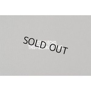 画像4: FLUTTER (フラッター) | Double Dyeing B/S Sweat 