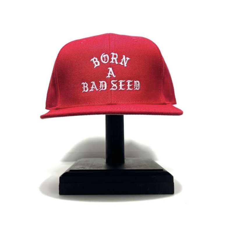 画像1: DAZZLESUGAR (ダズルシュガー) | -B.A.B Snap Back Cap-  (1)