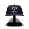 画像1: DAZZLESUGAR (ダズルシュガー) | -B.A.B Snap Back Cap-  (1)