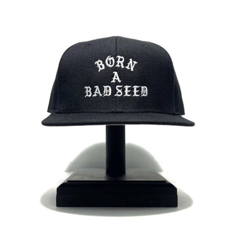 画像1: DAZZLESUGAR (ダズルシュガー) | -B.A.B Snap Back Cap-  (1)