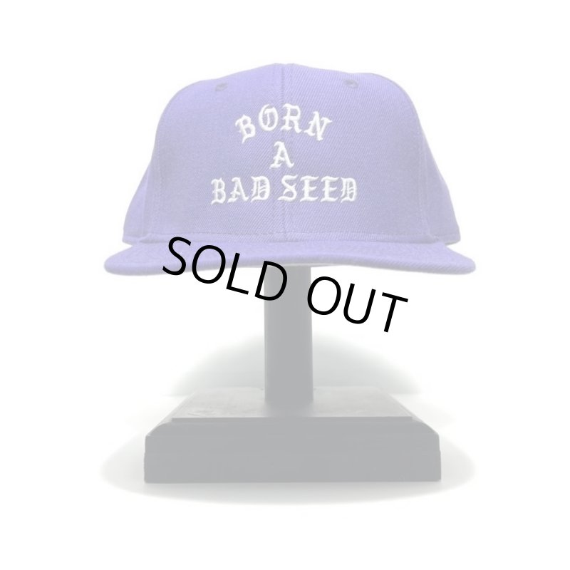 画像1: DAZZLESUGAR (ダズルシュガー) | -B.A.B Snap Back Cap-  (1)