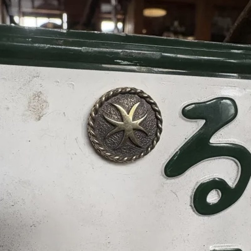 画像2: HWZN.MFG.CO. | EIGHT LEGGED CROSS LICENSE PLATE BOLT  (2)