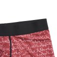 画像3: J&J CYCLE | BOXER PANTS "BUST"  (3)