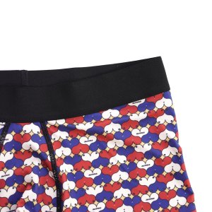 画像4: J&J CYCLE | BOXER PANTS "B&H" 