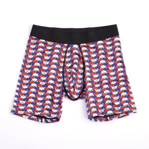 画像1: J&J CYCLE | BOXER PANTS "B&H" 