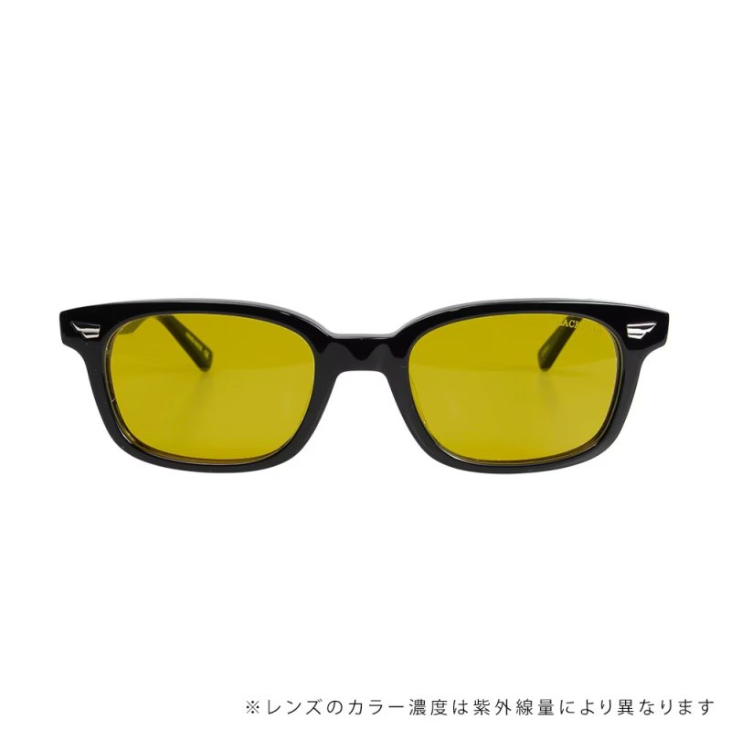 画像3: BLACK FLYS | FLY SLAMMER（調光レンズ） (3)