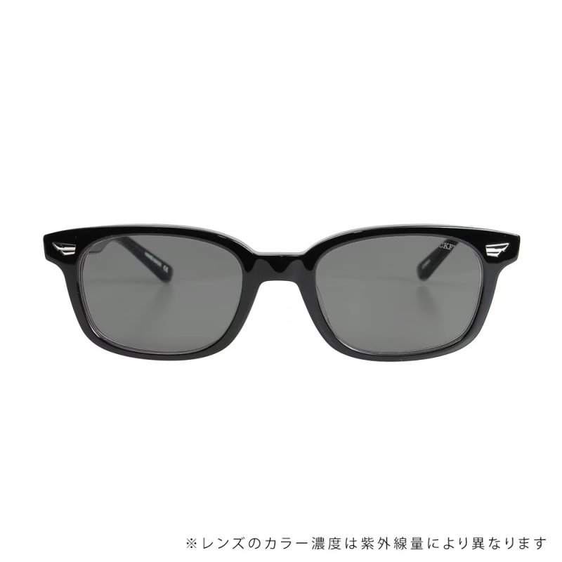 画像3: BLACK FLYS | FLY SLAMMER（調光レンズ） (3)