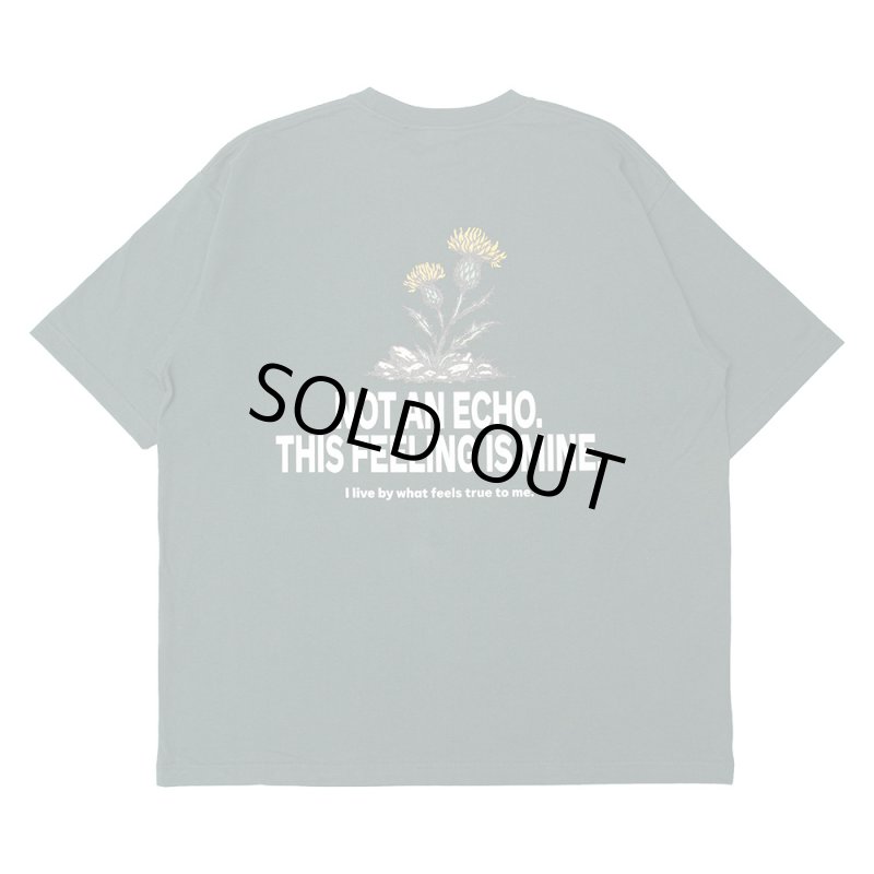 画像1: FLUTTER (フラッター) | USA Cotton Graphic Tee  (1)