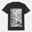 画像1: BRIXTON | HOURGLASS S/S STD  (1)