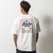 画像9: ROARK | "CRANE" S/S TEE  (9)