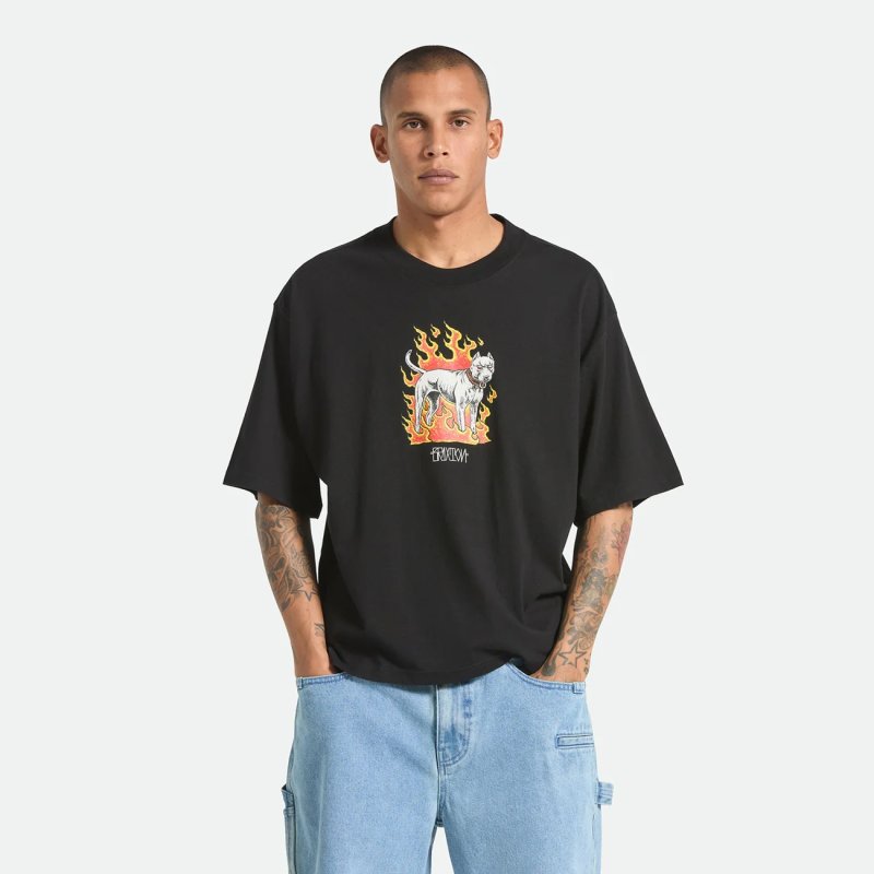 画像7: BRIXTON | WILSHRE S/S BOXED CROP  (7)