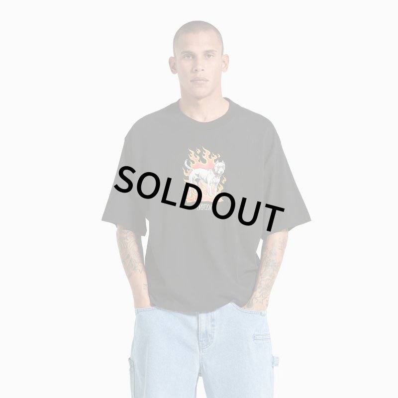 画像7: BRIXTON | WILSHRE S/S BOXED CROP  (7)