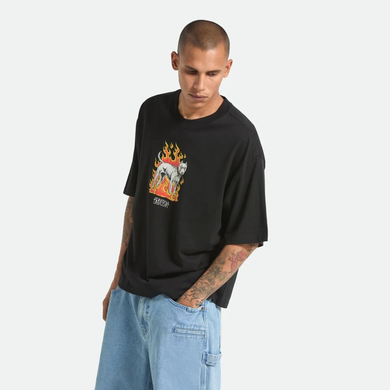 画像6: BRIXTON | WILSHRE S/S BOXED CROP  (6)